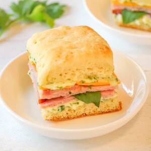 ham and cheese Mayo :  cheddar cheese slices